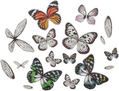 Tim Holtz, Advantus Transparent Wings, white 72 Count