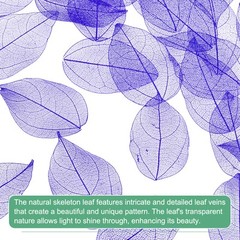 200-Pack Skeleton Leaves, Natural Rubber Leaves Vein[4-6cm, Purple]