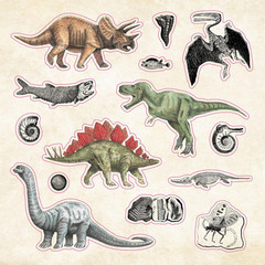 The Sticker Book of Curiosities (Over 750 Stickers) (Sticker Books)