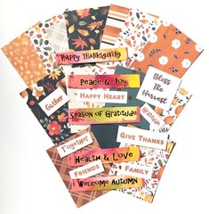 Scrapbook Paper Kit 25 Plus Items Kit For Junk Journals, Scrapbook Pages, Cards