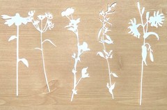 25 WILDFLOWERS #3 cardstock paper die cut embellishments scrapbook / card making