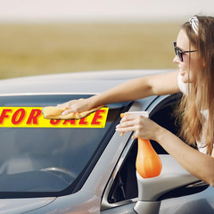 for Sale Windshield Stickers 12 Pack Dealership Advertising Sticker