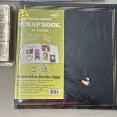 Scrapbooking Lot Book Stamps Paper Etc.