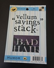 DCWV Diecuts with a View Sayings Vellum HUMOR Stack 30 Sheets NEW