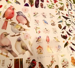 559+ Sticker Pk animals butterfly cats kittens dinosaurs flowers plants birds