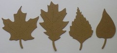 {12} ASSORTED NATURE LEAVES – Autumn Leaf Foilage – Bare Chipboard Die Cut