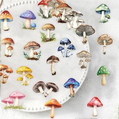 50PCS Retro Mushroom Stickers PET Transparent Nature Decals