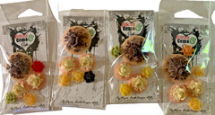Mixed Resin Embellishments By Marion Smith Designs For Arts & Crafts