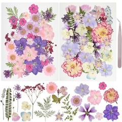50pcs Dried Pressed Flowers Kit Real Natural Flowers for Resin Jewelry DIY Craft
