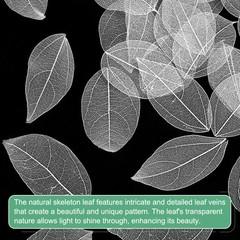 200-Pack Skeleton Leaves, Natural Rubber Leaves Vein[4-6cm, White]