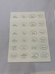 Anna Griffin Mini Sentiment Stickers 288 Sentiments Love Birthday Affirmation
