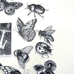Black and White Garden Insect Stickers Planners Bullet Journal Scrapbooking