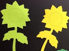 SUNFLOWER Die-Cuts(6pc)Approx:3.5″x 1.5″Garden•Seeds•Flowers•Summertime •Sun•••