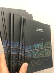 BTS Love Yourself In Seoul DVD Folded Poster Only