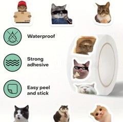 50 Mini Cute Cat Meme Stickers – Kitty Decals Phone Water Bottles Laptops