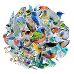 40Pcs Bird Stickers, Transparent Colorful Bird Stickers, PET Vintage Bird-40p