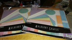 120 MULBERRY ASSORTED/COLORS & SHAPES by PAPERBILITIES NEW