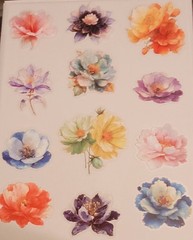 BB12E 12pc set Transparent Watercolor Flower Blooms Journal Crafting Stickers
