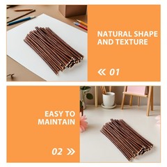 50Pcs Reusable Natural Wood Sticks Coffee for DIY Craft Wood Branch Rustic Decor