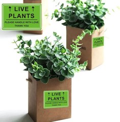 Green Live Plants Stickers for Shipping 2×3 inch Please Handle with Love Stic…
