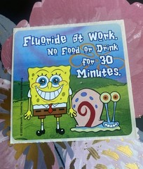Fluoride At Work SpongeBob & Gary Sticker Mod 2.5” Inches