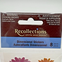 Recollections 3D Colorful Daisies FLOWERS Garden Wedding Scrapbook Stickers