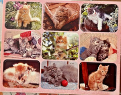 Huge Lot of Stickers over 57 full sheets, Unused, Mix of vintage and recent