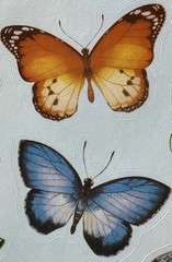 NATURAL BUTTERFLIES Stickers (14pc)Earth tone•Bugs•Wings•Flying •Card Making•