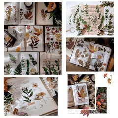80PCS Large Dried Flower Stickers – Waterproof Transparent Floral Decals for Scr
