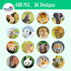 600PCS Realistic Animal Stickers, 16 Designs Jungle Animal Sticker for Kids Safa