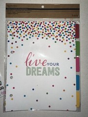 Recollections Divider Pages And Stickers For Planner