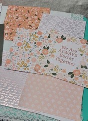 Papercraft Lot #1 – Build Your Stash – Peachy Evergreen Recollections – 30 Pcs.