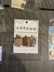 Fall Autumn Harvest Theme Scrapbooking Mixed Lot Stickers Jolee’s + More