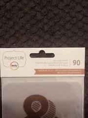 Project Life 90pc Vellum Cards Sheer Metallic Transparent Scrapbook Becky Higgin