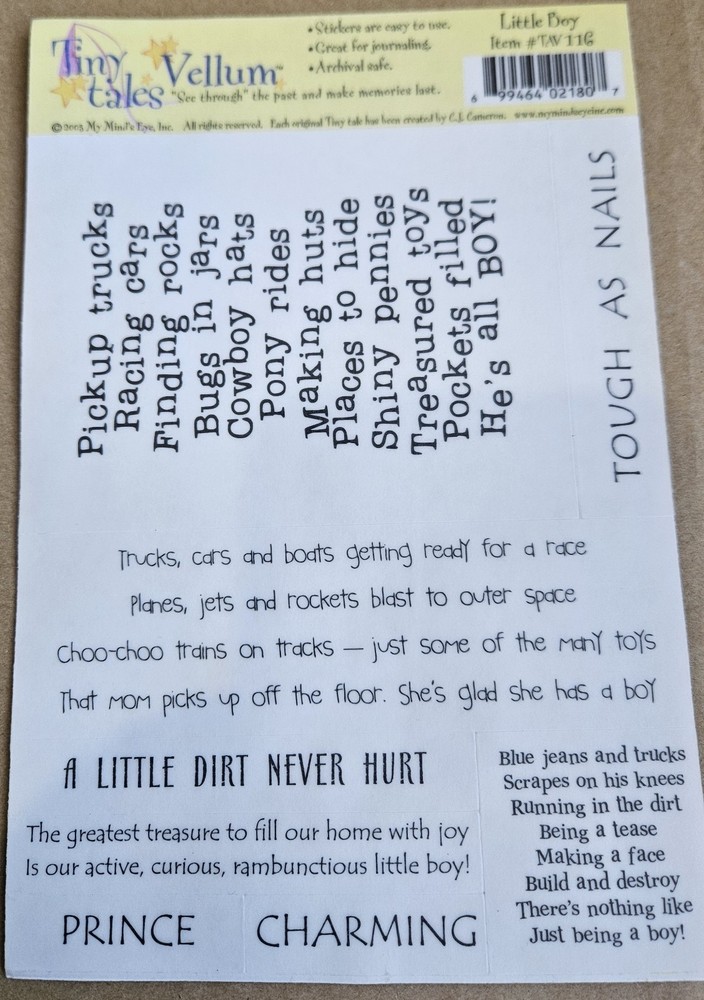 TINY TALES – VELLUM STICKERS – Little BOY 5X7 inches