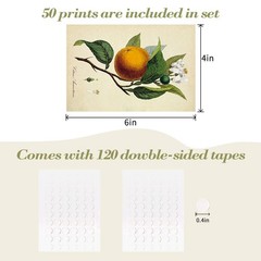 SAISHUO Wall Collage Kit,50 Pcs DIY Wall Decor Postard Paper with Traceless A…