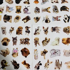 Cute Dog Sticker For packaging Random 2pc NEW from Japan 2枚セット　ステッカー　シール　かわいい