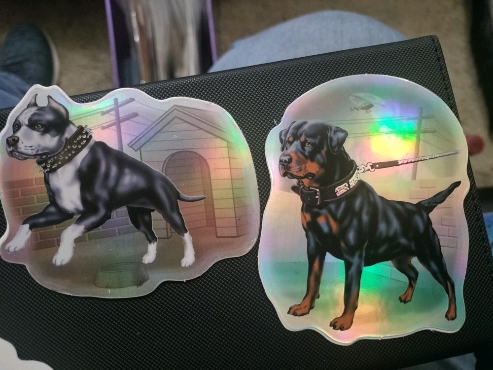 Vintage 2005 Steve Nazar Dawgs Stickers
