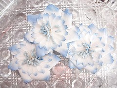 PRETTY Mix – 3 Flowers PINK WHITE & BLUE 80-85mm Manor House ConA