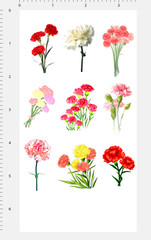 Carnation Flower Sticker Sheet Red Pink White Floral Bouquet Botanical Vinyl