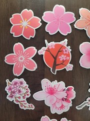 STICKERS x 10 Flowers Pink Cherry Blossom Orchid Tree Sticker CHE4