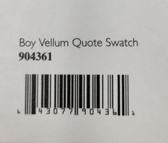 Daisy Hill Boy Vellum Quote Swatch 24 Pages – New