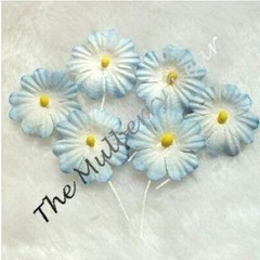 10 Blue Flowers Handmade Mulberry Paper Tropical flower baby boy Cards shower