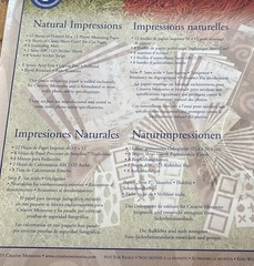 Creative Memories Collection-natural impressions