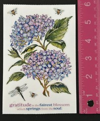 PSX HYDRANGEA Sticker Sheet GRATITUDE IS THE FAIREST BLOSSOM
