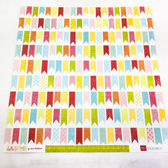 Echo Park Scrapbook Paper Lot 12×12 Summer By Lori Whitlock 5 Sheets
