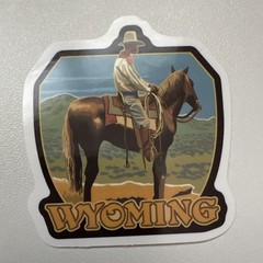 10 STICKERS WESTERN COWBOYS Journal Planner SCRAPBOOK COUNTRY WSIPV