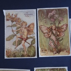 Vintage Brier Rose Flower Fairies Sticker Mod Lot Victorian Greetings