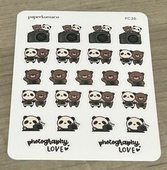 NEW PaperKumaCo “Photography Love” ❤️ Sticker Sheet Paper Kuma Co PKC Stickers