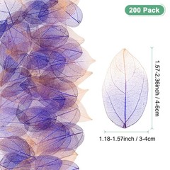 200-Pack Skeleton Leaves, Natural Rubber Leaves Vein[4-6cm, Purple Coffee]